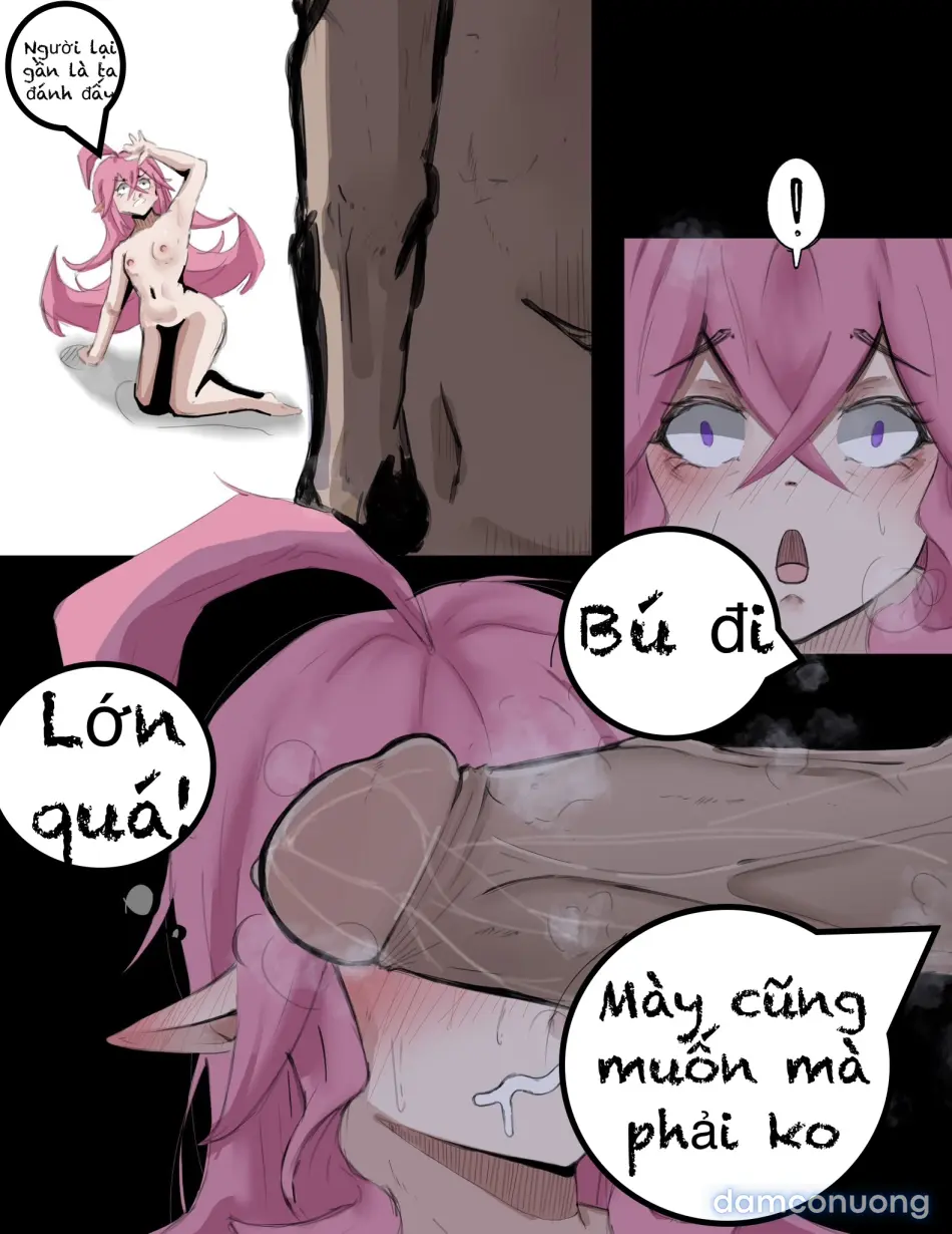 AOV 