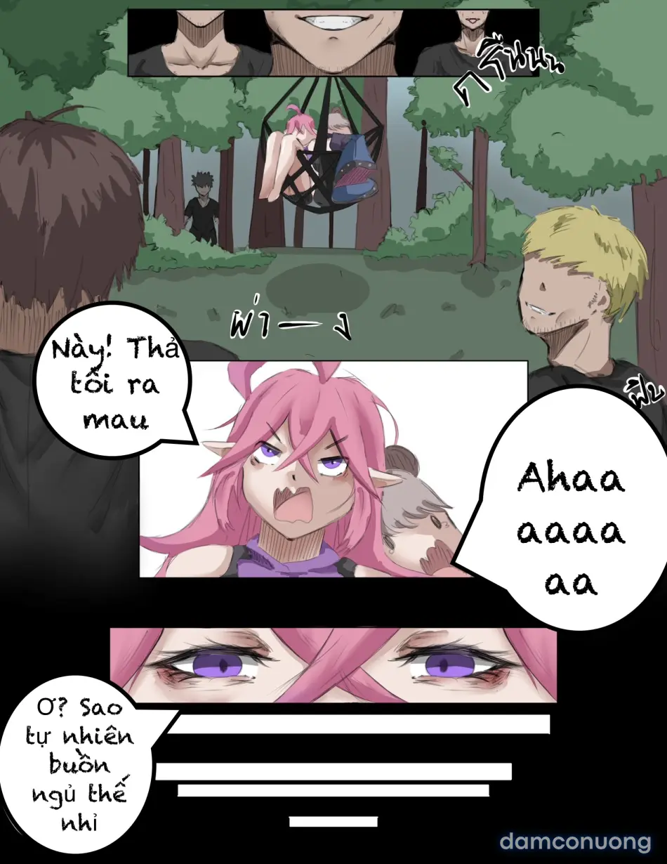 AOV 