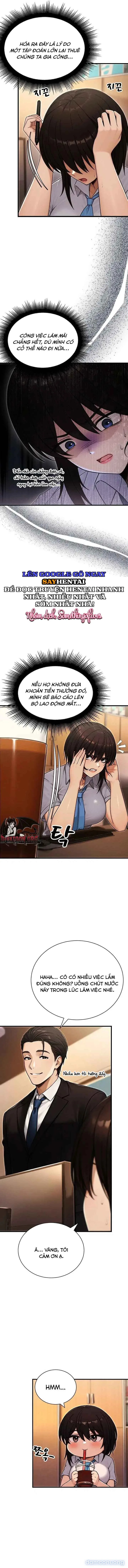 "Cả Bang Mỗi Tôi Là Nam?!" 