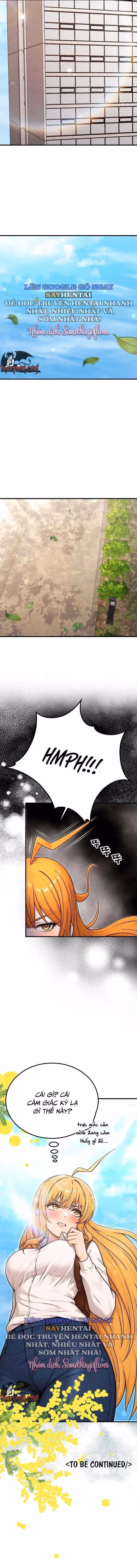 "Cả Bang Mỗi Tôi Là Nam?!" 