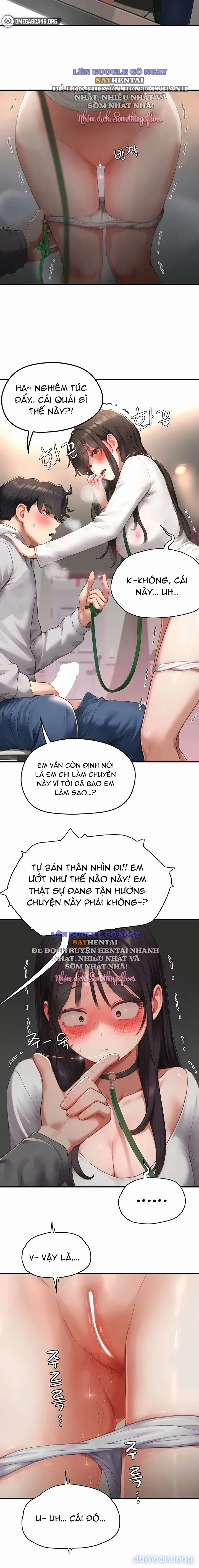 Khế Ước Phục Tùng 