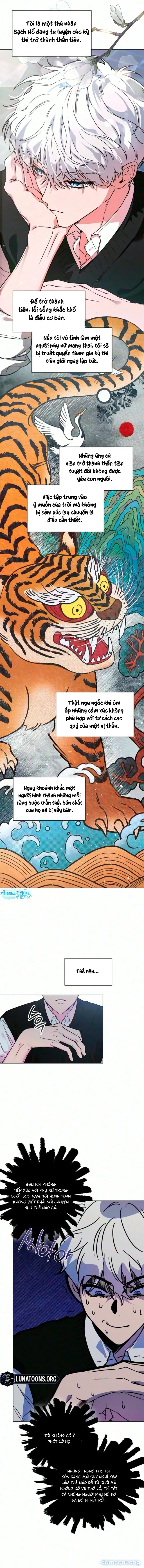 Nội Tình Được Thần Linh Tiết Lộ 