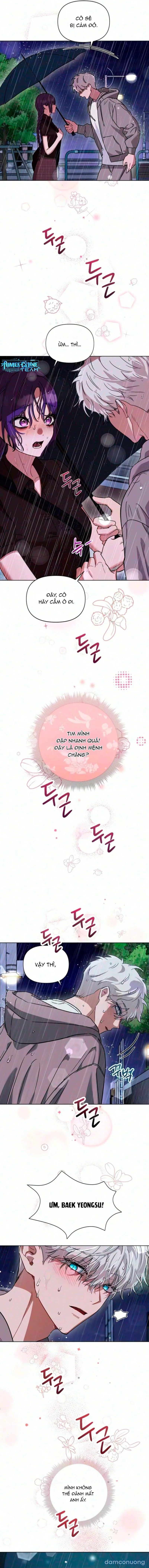 Nội Tình Được Thần Linh Tiết Lộ 