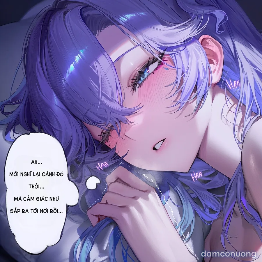 Cantarella NTR 