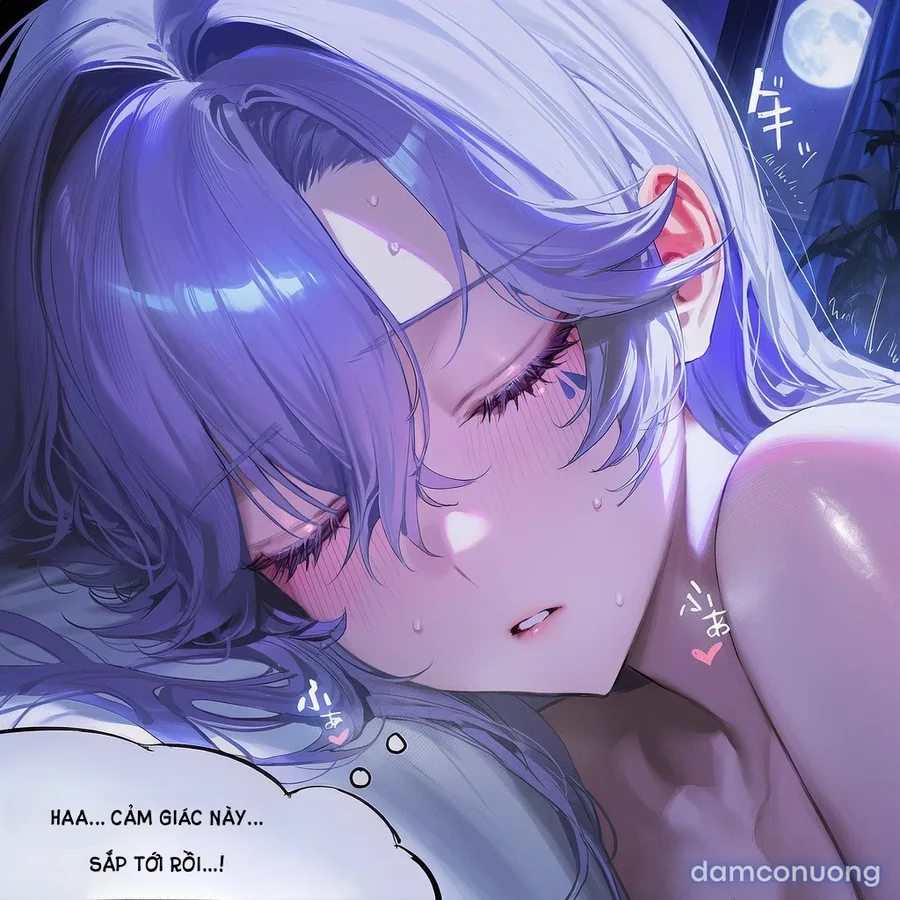 Cantarella NTR 