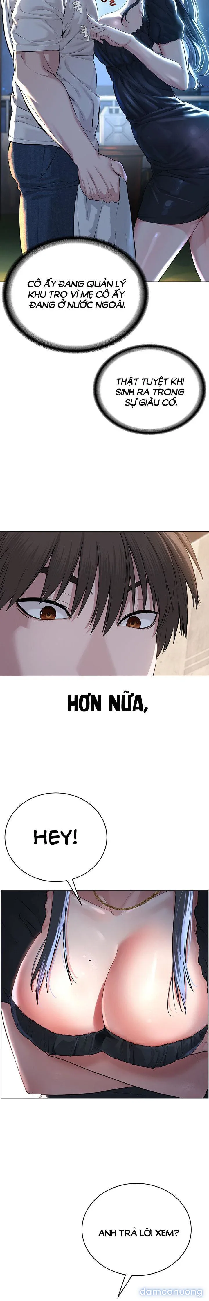 Giáo phái mới 