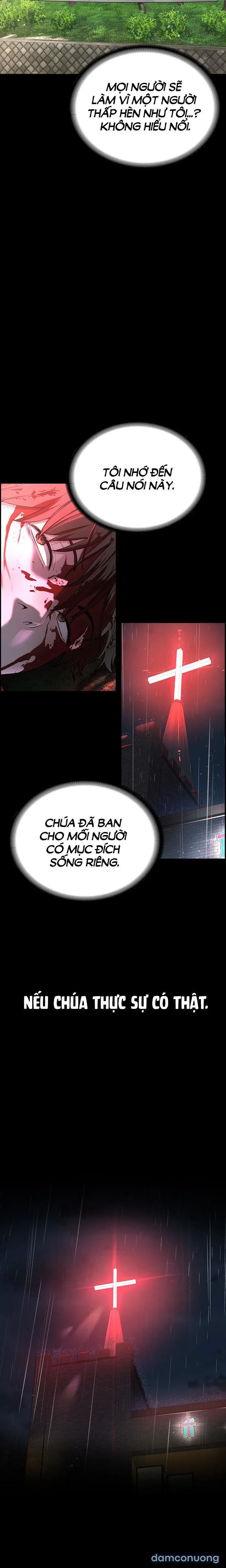 Giáo phái mới 