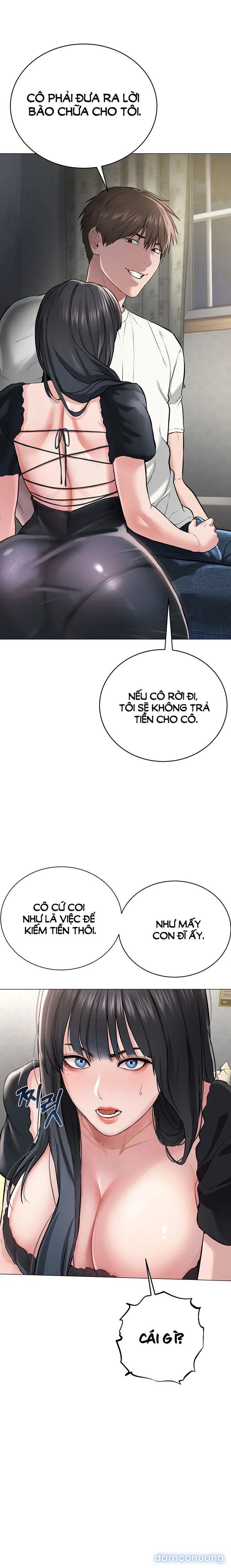 Giáo phái mới 