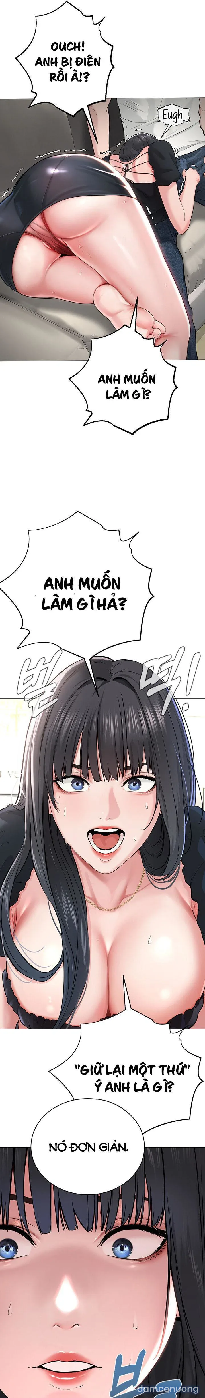 Giáo phái mới 