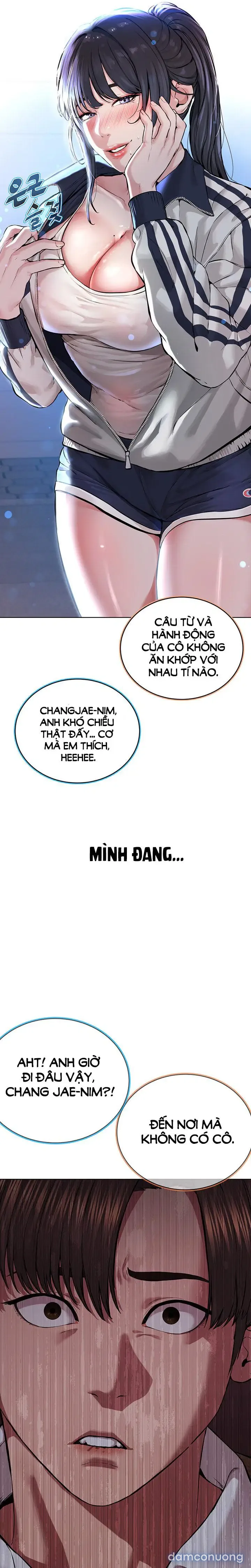 Giáo phái mới 