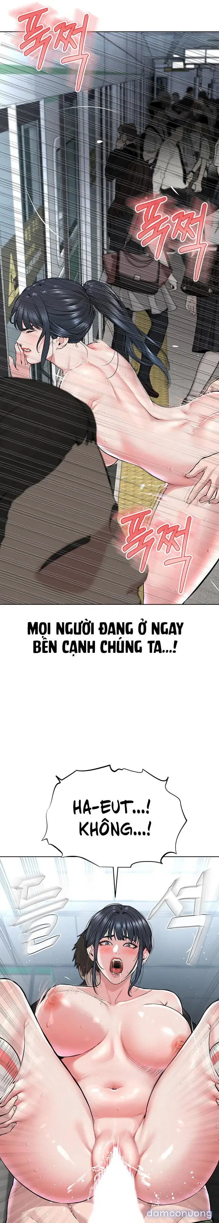 Giáo phái mới 
