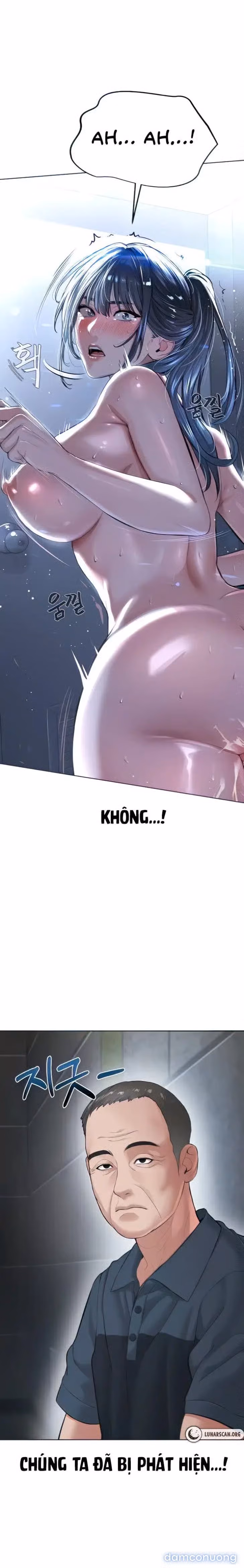 Giáo phái mới 
