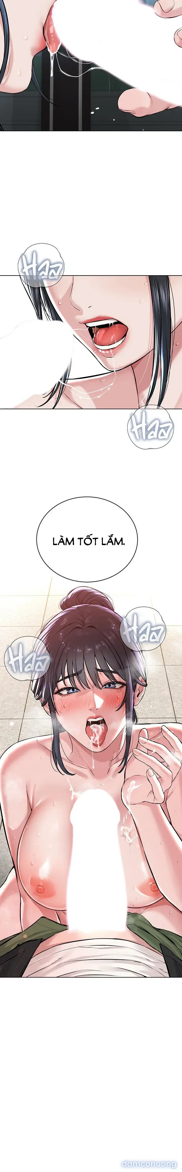 Giáo phái mới 