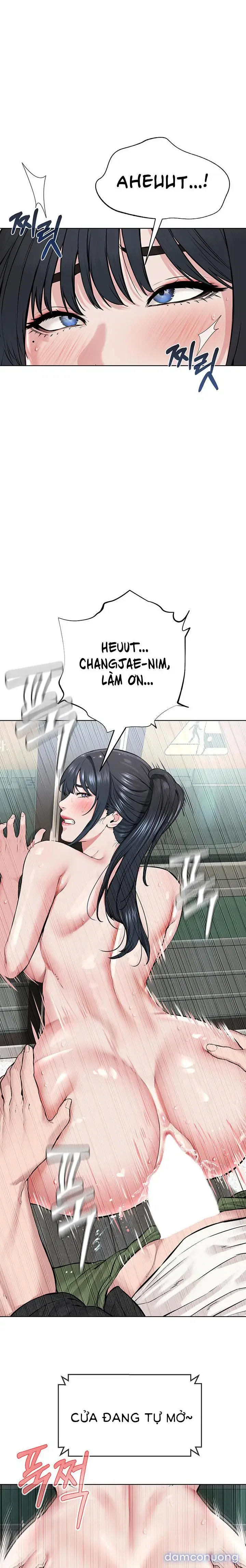 Giáo phái mới 