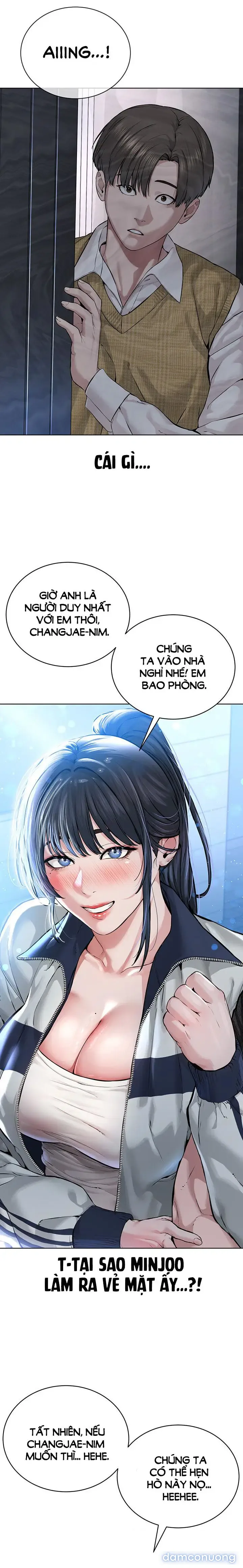 Giáo phái mới 