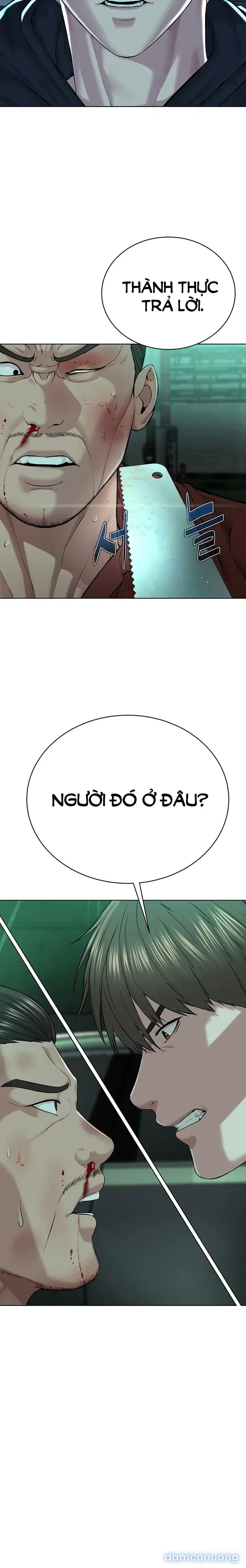 Giáo phái mới 