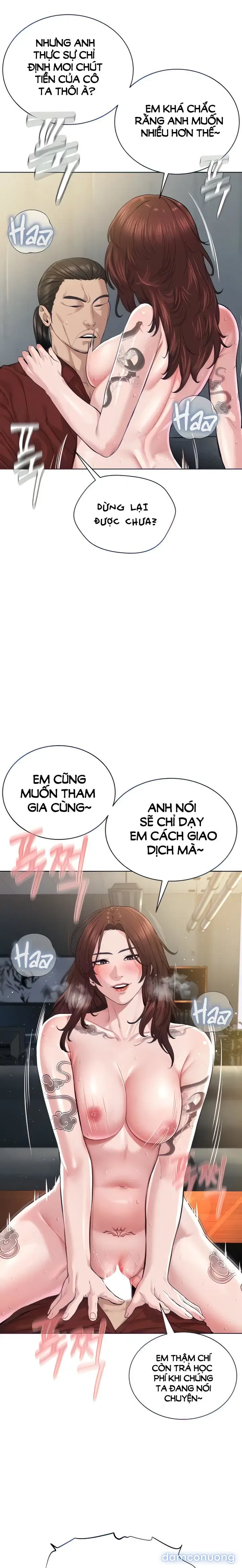 Giáo phái mới 