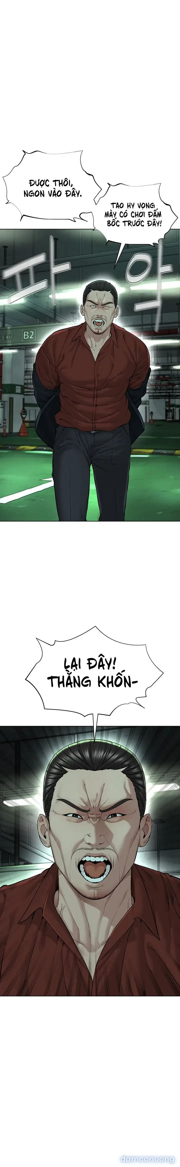 Giáo phái mới 