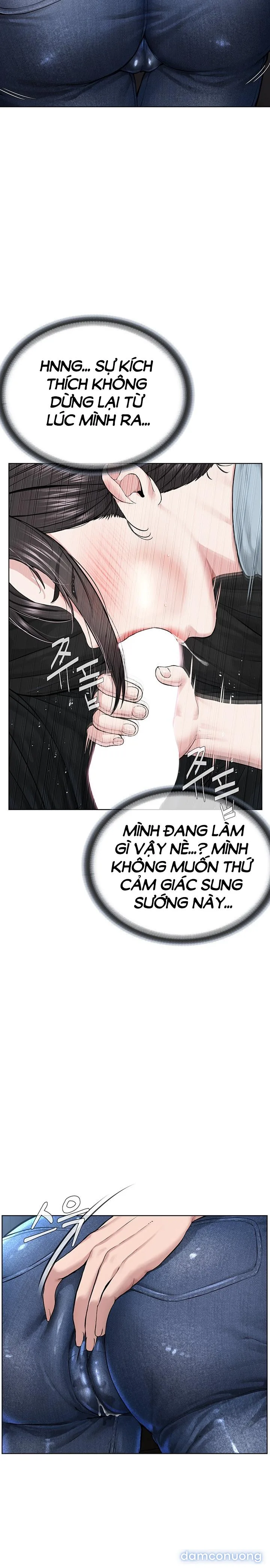 Giáo phái mới 
