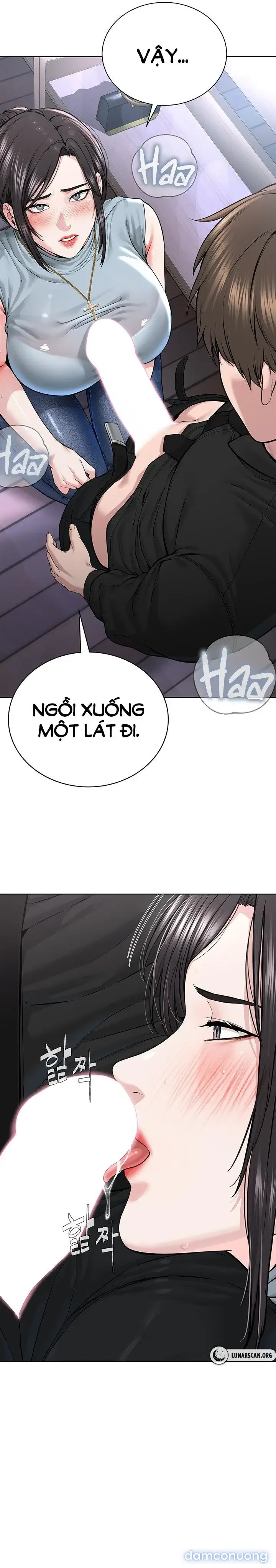 Giáo phái mới 