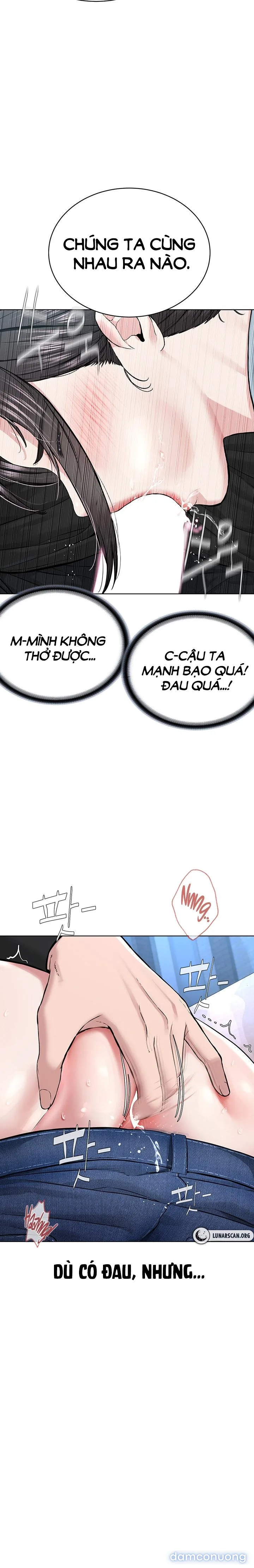 Giáo phái mới 
