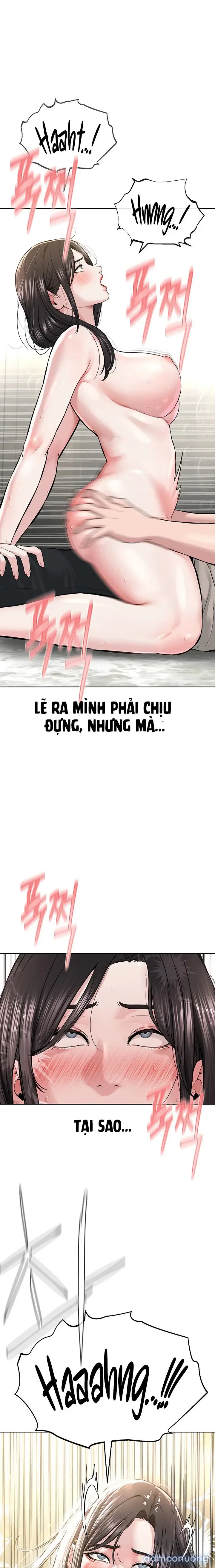 Giáo phái mới 