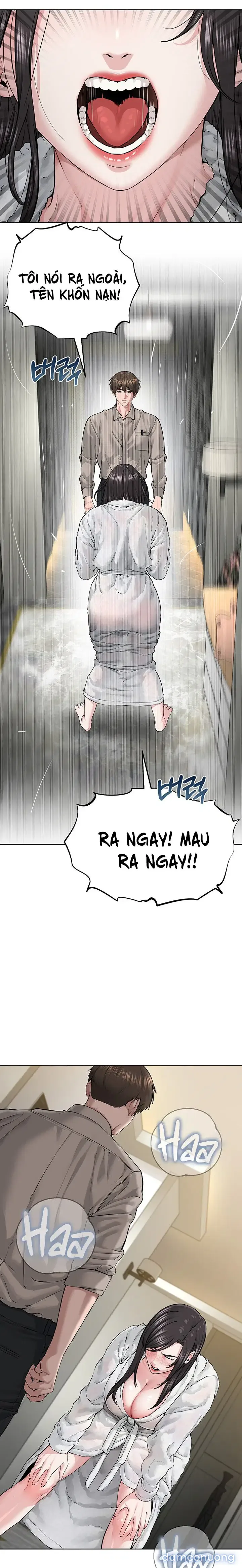 Giáo phái mới 