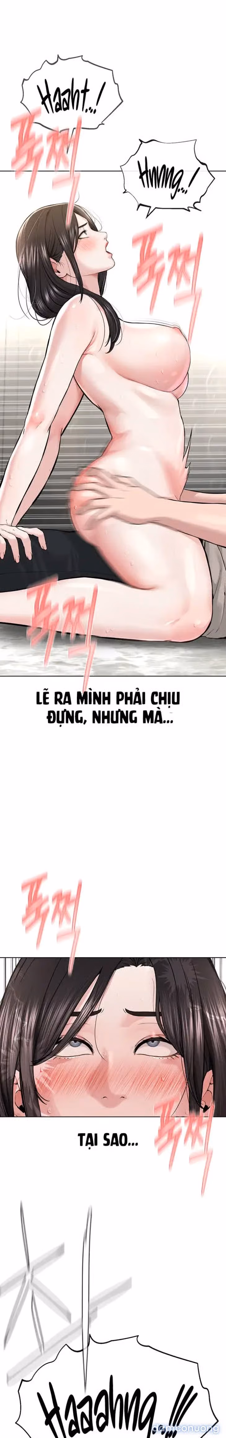 Giáo phái mới 