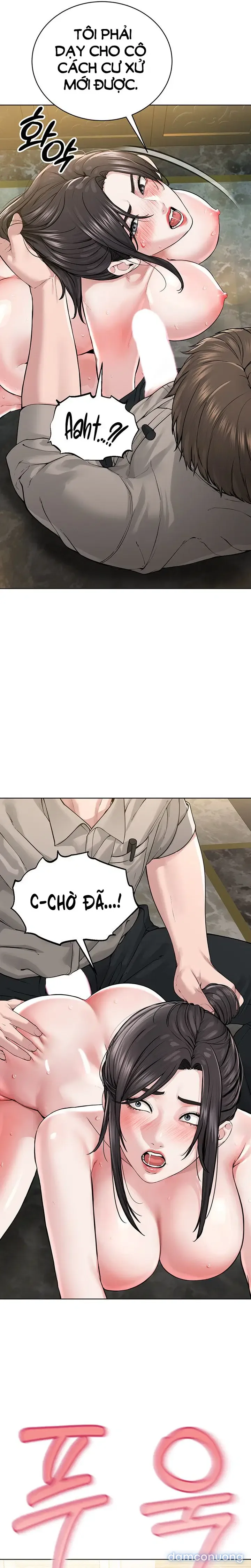 Giáo phái mới 