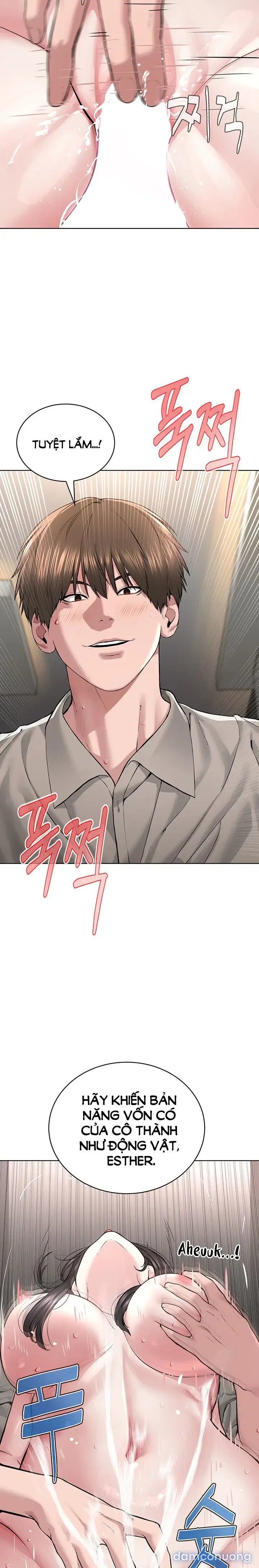 Giáo phái mới 