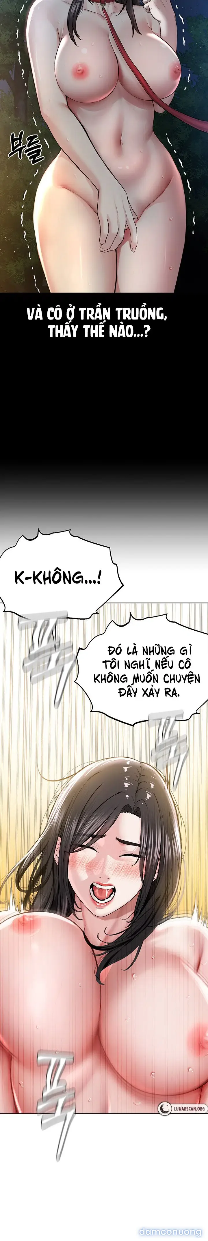 Giáo phái mới 