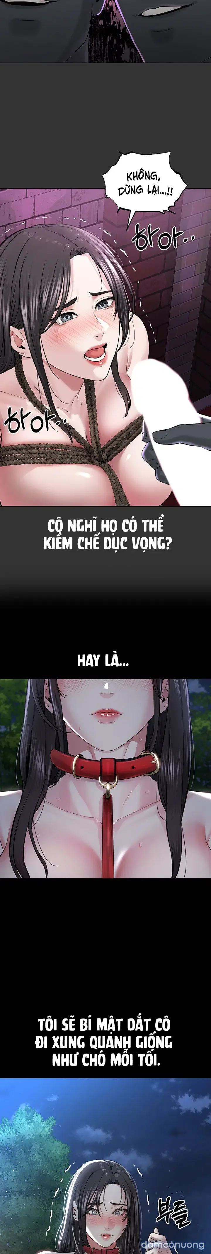 Giáo phái mới 