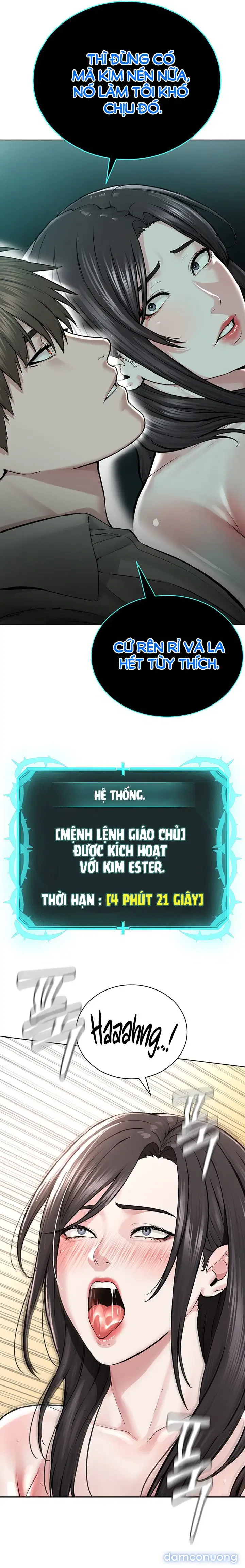 Giáo phái mới 
