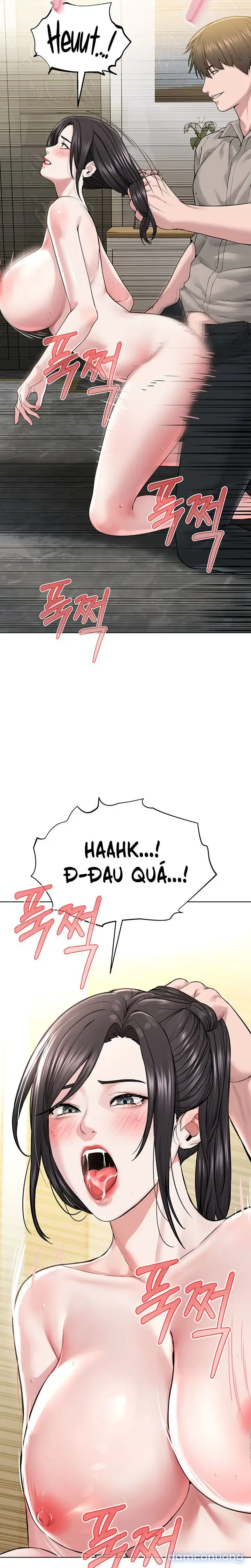 Giáo phái mới 