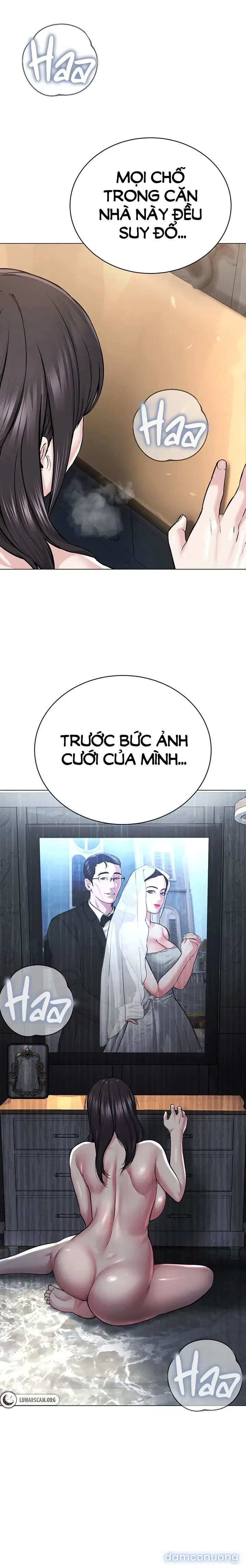 Giáo phái mới 