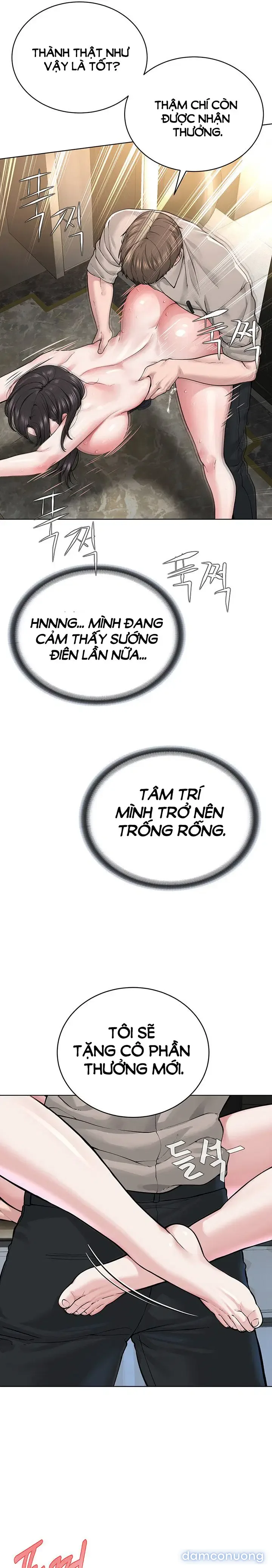 Giáo phái mới 