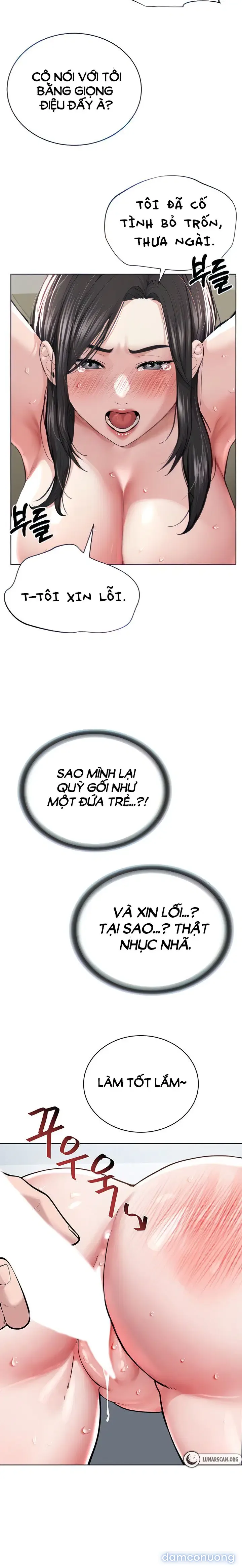 Giáo phái mới 