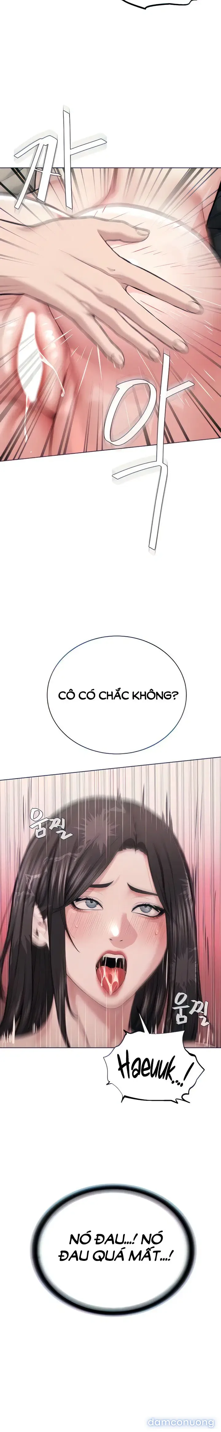 Giáo phái mới 