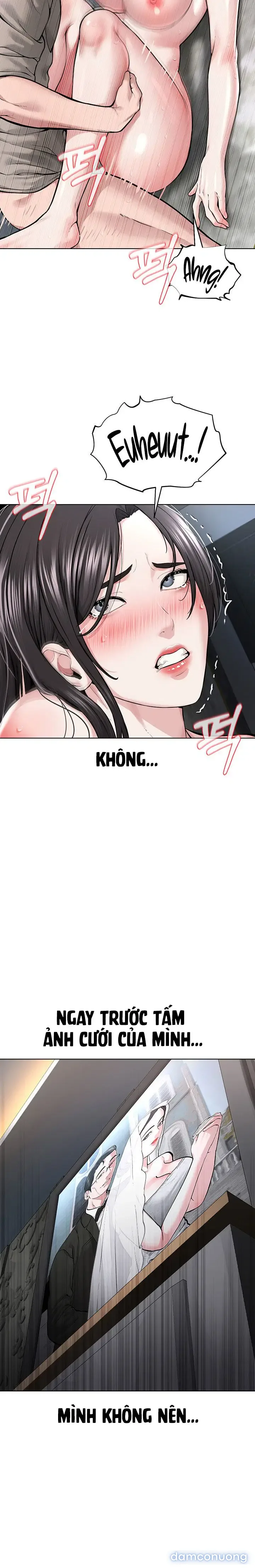 Giáo phái mới 