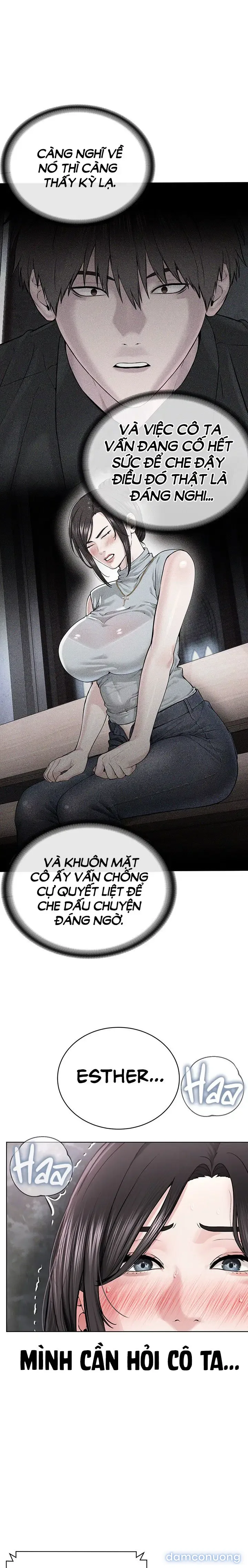 Giáo phái mới 