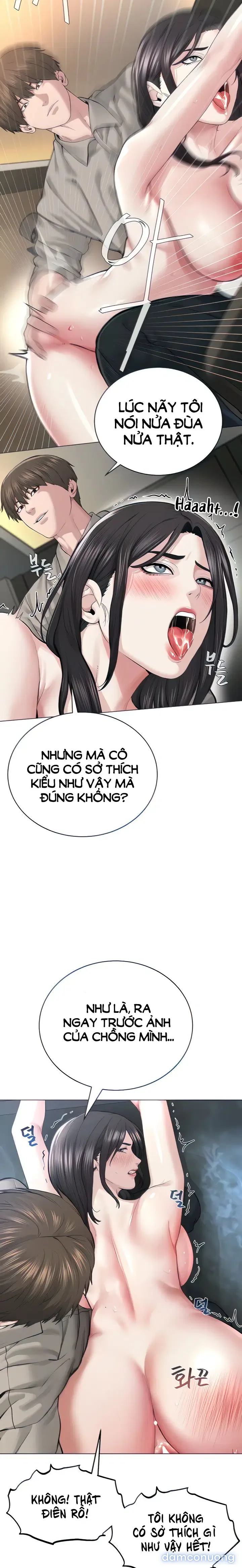 Giáo phái mới 