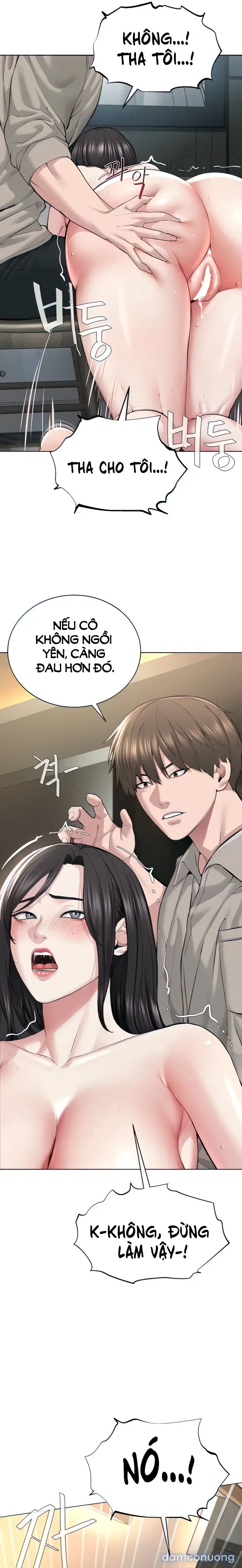 Giáo phái mới 