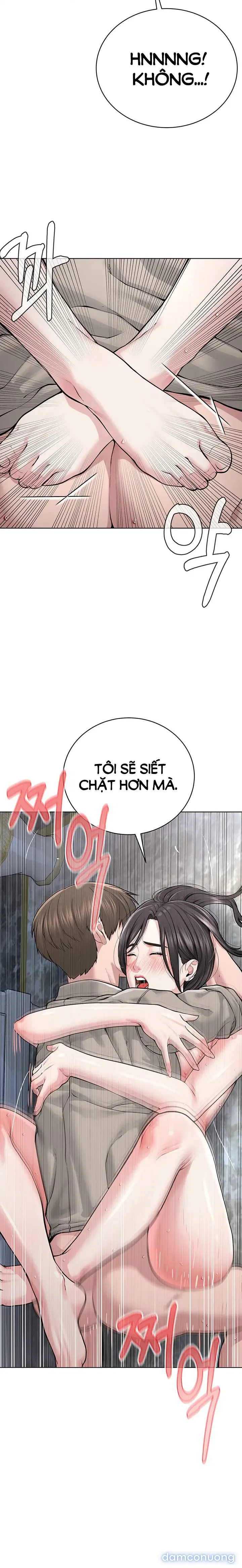 Giáo phái mới 