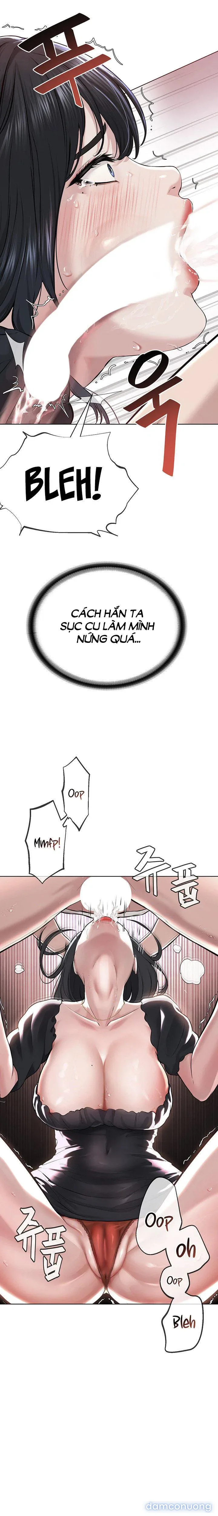 Giáo phái mới 