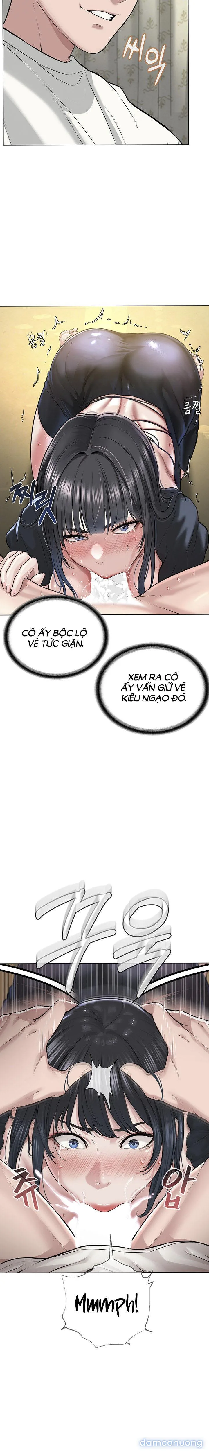 Giáo phái mới 