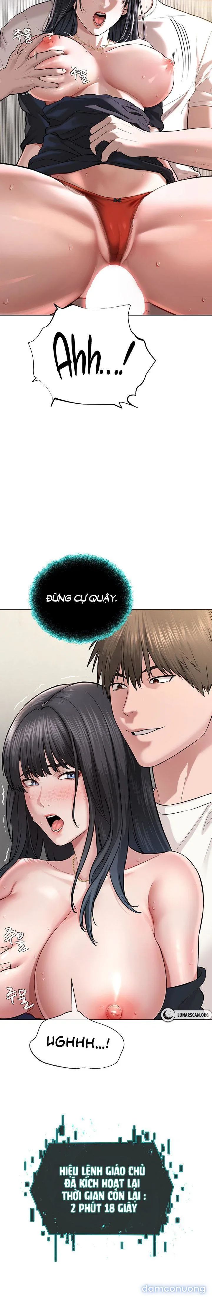 Giáo phái mới 
