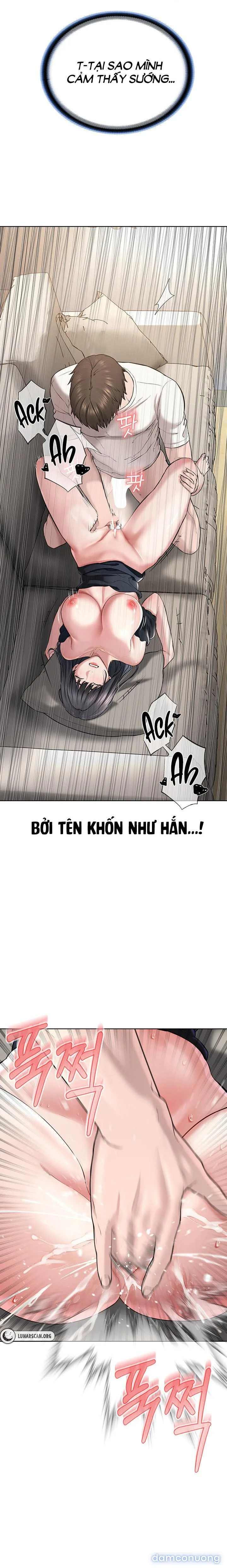 Giáo phái mới 