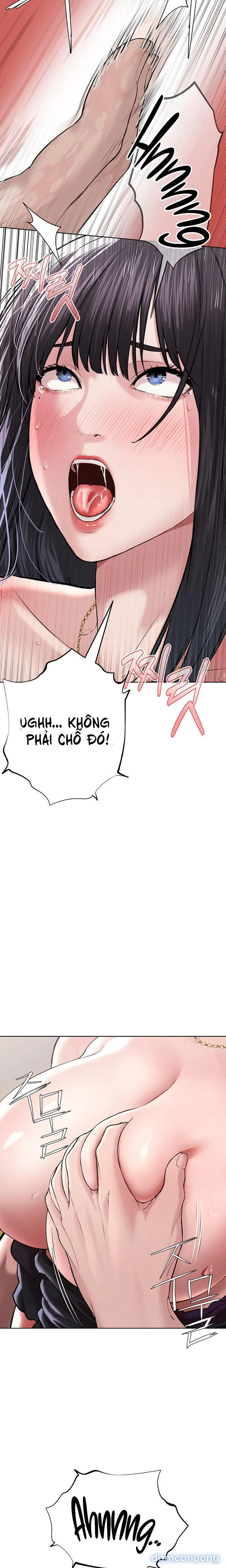 Giáo phái mới 