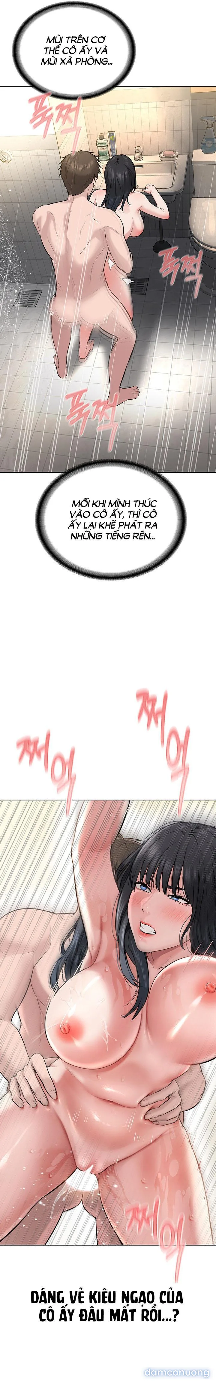 Giáo phái mới 