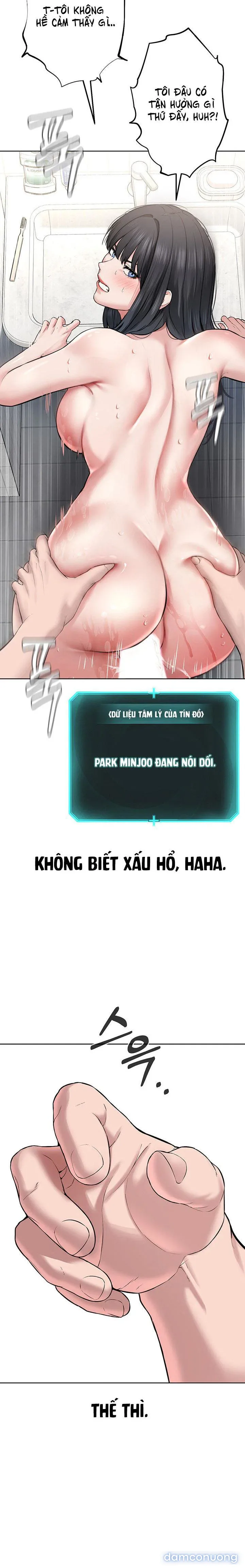 Giáo phái mới 